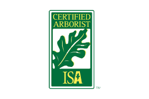 ISA Certification | Tree Trimming Experts | Triangle Area Tree Service | BroadLeaf Tree & Shrub