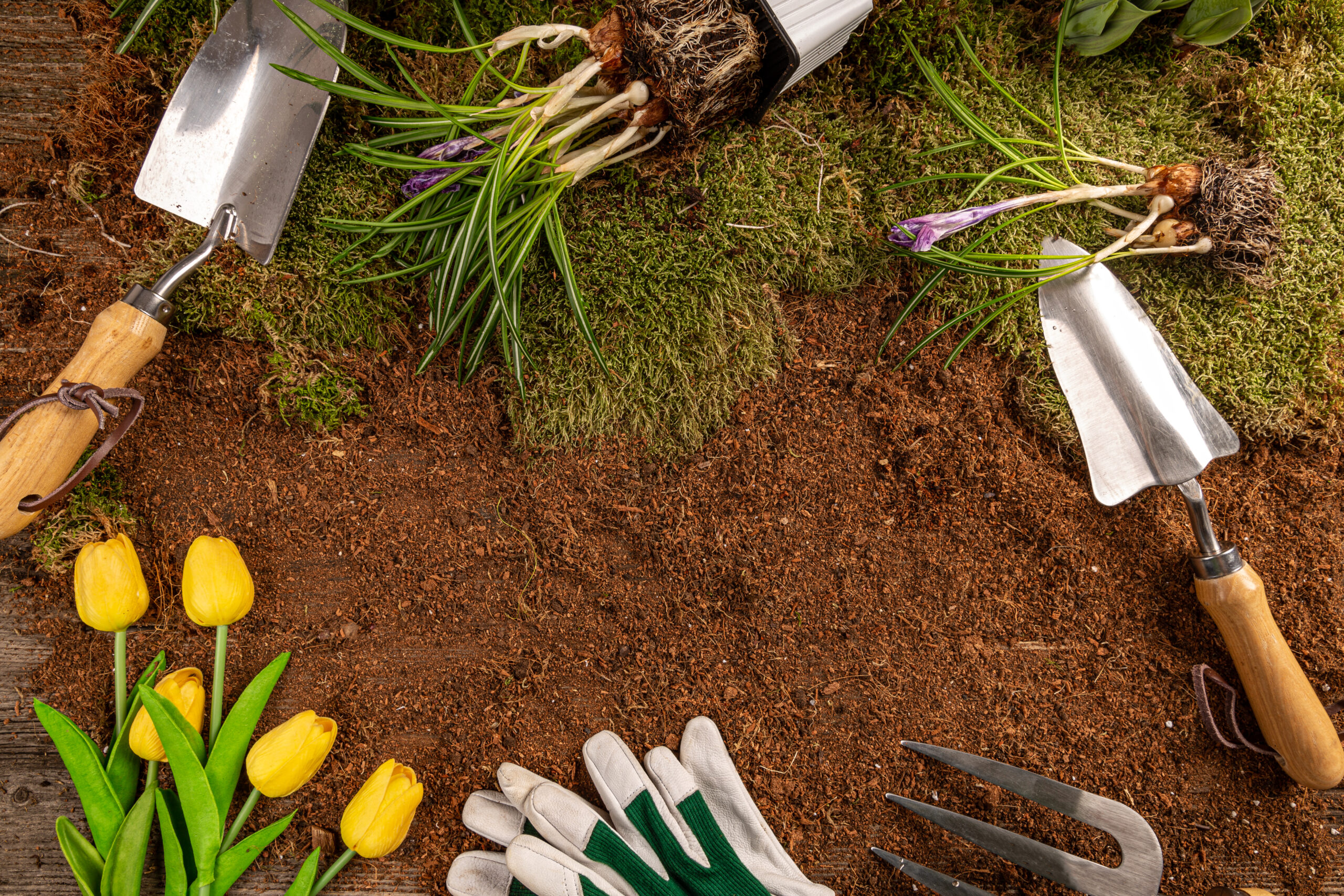 How to choose the right landscaping materials