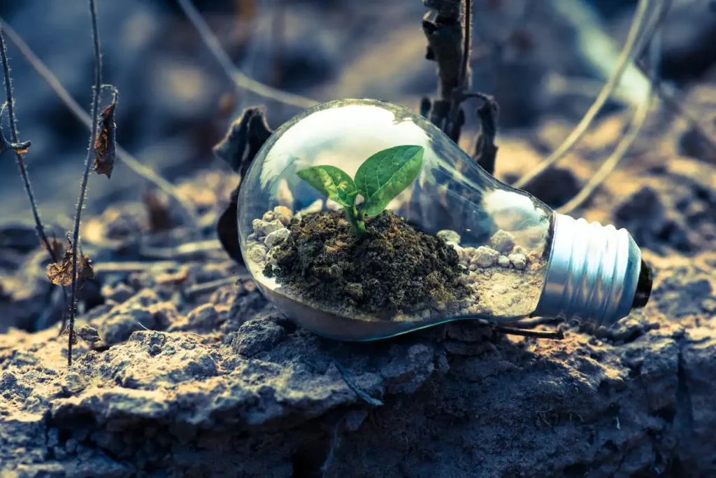 Climate Change and Tree Health