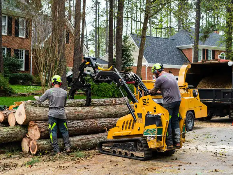 A crew removes tree trunks using an excavator. This image is used for the Tree Removal in Raleigh, NC page.