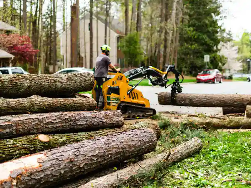 A man removes a fallen tree. This image accompanies the page Tree Service in Cary NC.