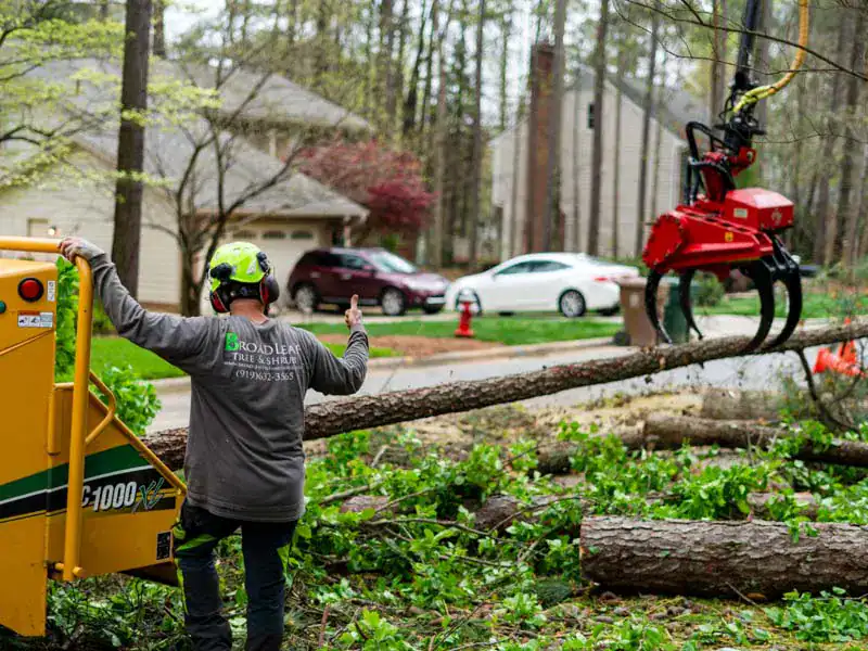 Men grinding trees as to provide Chapel Hill tree removal services.