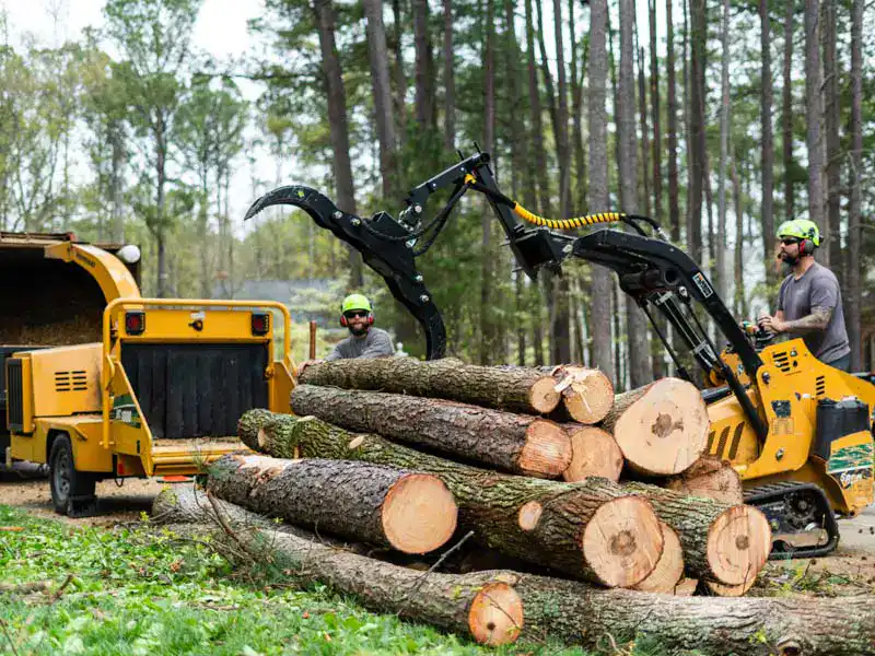 Stacked logs as a result of commercial tree removal in Durham, Cary, Apex, Raleigh, Hillsborough, Morrisville, Chapel Hill, and Holly Springs.