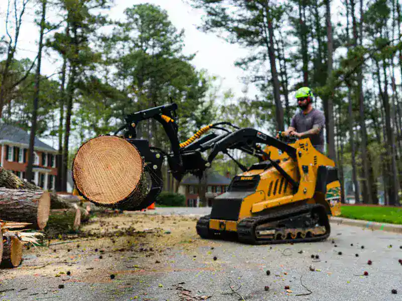 Crane removing cut down tree, highlighting commercial tree removal in Holly Springs.
